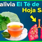 10 Beneficios asombrosos del té de guayaba que debes conocer
