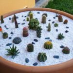 10 increíbles beneficios de tener cactus en tu hogar que no conocías
