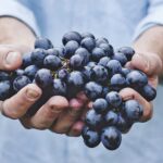 10 increíbles beneficios del aceite de semilla de uva que no conocías
