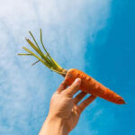 10 Increíbles Beneficios para la Salud del Cuerpo Humano al Consumir Zanahoria