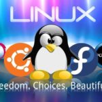 5 beneficios que los desarrolladores obtienen al tener Linux como sistema operativo gratuito