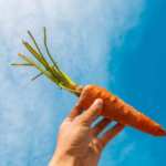 5 Increíbles beneficios para la piel de la zanahoria que debes conocer