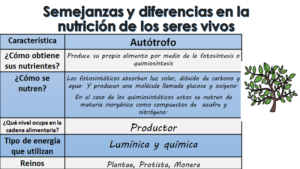 6 Increíbles Beneficios de los Reinos de la Naturaleza Que No Conocías ...