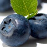 7 Beneficios para la salud de goji berry que no puedes ignorar
