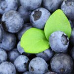 7 increíbles beneficios para la salud de la fruta granada que debes conocer