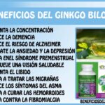 8 beneficios asombrosos de las cápsulas de ginkgo biloba para mejorar tu salud